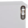 Stella Homewares Wall Cabinet for Keys and Jewellery with Doors and Hooks