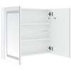 Stella Homewares LED Bathroom Mirror Cabinet 80x12.2x68 cm