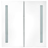 Stella Homewares LED Bathroom Mirror Cabinet 60x14x62 cm