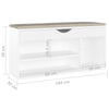 Stella Homewares Shoe Bench with Cushion White 104x30x49 cm Engineered Wood