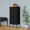 Stella Homewares Storage Cabinet Black 42.5x35x101.5 cm Steel