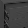 Stella Homewares Chest of Drawers Anthracite 80x35x101.5 cm Steel