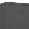 Stella Homewares Locker Cabinet Anthracite 35x46x180 cm Steel