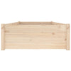 Stella Homewares Bed Frame without Mattress with Drawers 90x190 cm