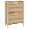 Stella Homewares Shoe Cabinet 57.5x33x80 cm Engineered Wood