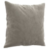 Stella Homewares Throw Pillows 2 pcs Light Grey 40x40 cm Velvet
