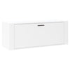 Stella Homewares Wall Shoe Cabinet White 100x35x38 cm Engineered Wood