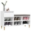 Stella Homewares Shoe Cabinet White 102x36x60 cm Engineered Wood