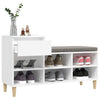 Stella Homewares Shoe Cabinet White 102x36x60 cm Engineered Wood
