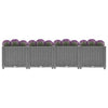 Stella Homewares Raised Bed 160x40x38 cm Polypropylene
