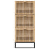 Stella Homewares Shoe Cabinet 52x25x120 cm Engineered Wood