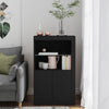 Stella Homewares Side Cabinet with LED Lights Black Engineered Wood