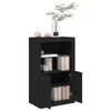 Stella Homewares Side Cabinet with LED Lights Black Engineered Wood
