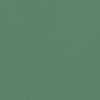 Stella Homewares Foldable Party Tent Pop-Up with 4 Sidewalls Green