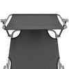 Folding Sun Lounger with Canopy Steel Grey