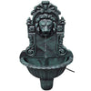 alt="Wall Fountain Lion Head Design"