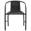 Garden Chairs 2 pcs Plastic Rattan and Steel 110 kg