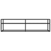 TV Cabinet Transparent 160x40x40.5 cm Tempered Glass