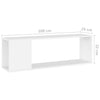 TV Cabinet White 100x24x32 cm Engineered Wood